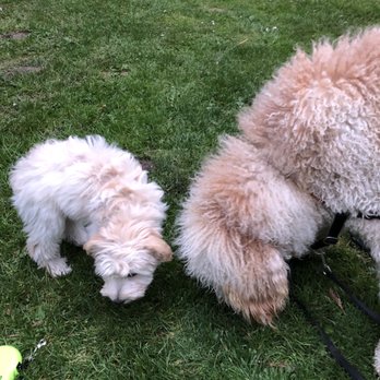 Volunteer Park - Making friends! - Parks Near Me - Seattle, Washington