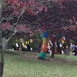 The FAF - Wishing Tree