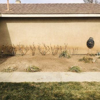 G Salinas Landscaping and Tree Services - Palm tree removed and debris cleared away. - Landscaping Near Me - Littlerock, California G Salinas Landscaping and Tree Services - Palm tree removed and debris cleared away. - Landscaping Near Me - Littlerock, California