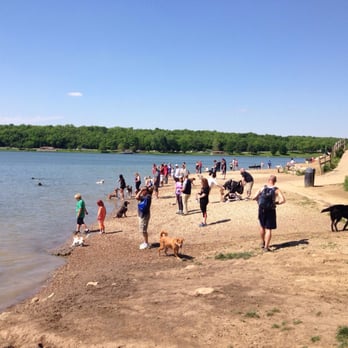 Shawnee Mission Dog Park - There are a lot of dogs on the weekends - Dog Parks Near Me - Shawnee, Kansas Shawnee Mission Dog Park - There are a lot of dogs on the weekends - Dog Parks Near Me - Shawnee, Kansas