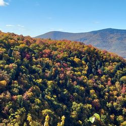Prospect Rock Trail