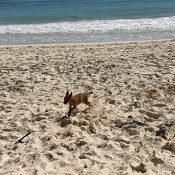 Playa Xcanan