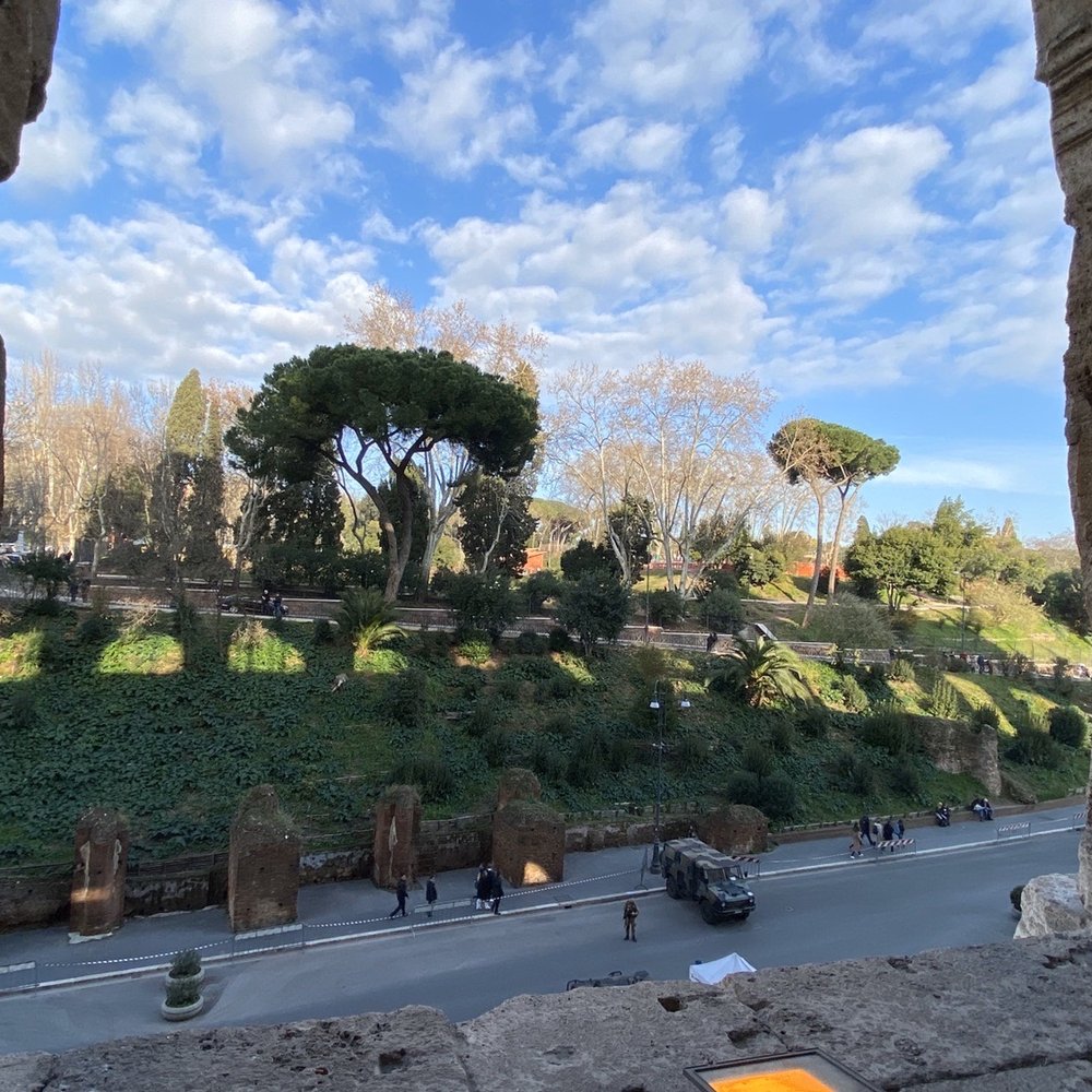 Colosseo - Local Flavor Near Me - Rome, RM