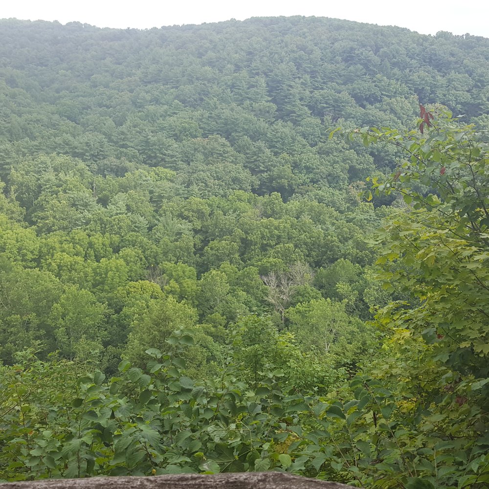 Mohican State Park - Hiking Near Me - Loudonville, Ohio