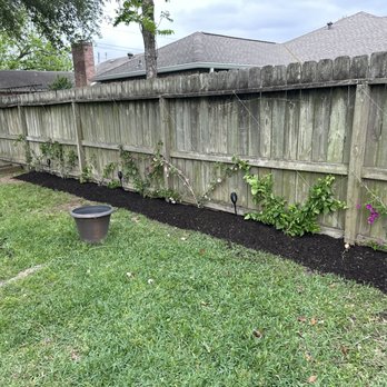 Candlewood Landscaping Services - Bougainvillea diamond shape trellis - Landscaping Near Me Candlewood Landscaping Services - Bougainvillea diamond shape trellis - Landscaping Near Me