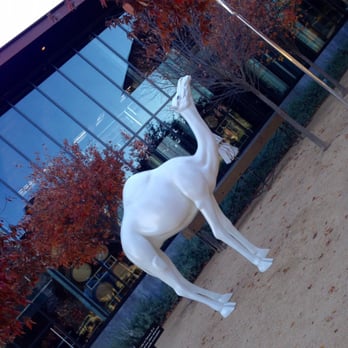 HALL Wines - John Baldessari's "camel and the needle" - Wineries Near Me - Saint Helena, California HALL Wines - John Baldessari's "camel and the needle" - Wineries Near Me - Saint Helena, California