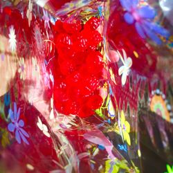 Old Fashioned Candy Shop - Candy