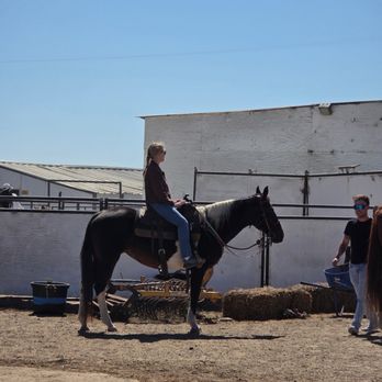 Ocean View Stables - Breeze ready to go. - Horseback Riding Near Me - Daly City, California
