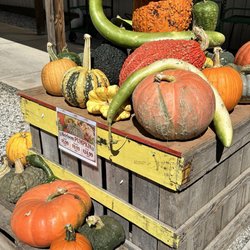 Saunders Brothers - Pumpkins, squashes, and gord display