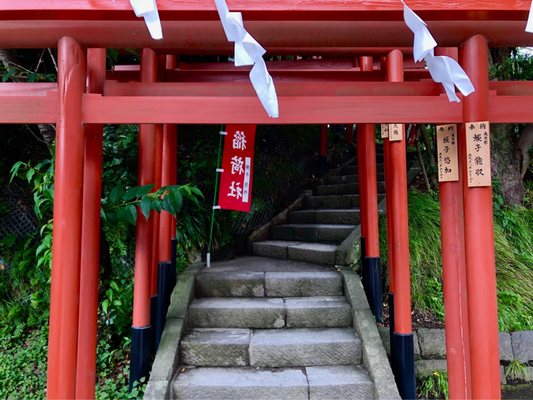 Tsurugaoka Hachimangu by null