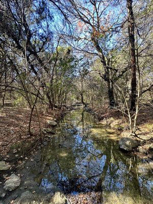 Barton Creek Greenbelt by null