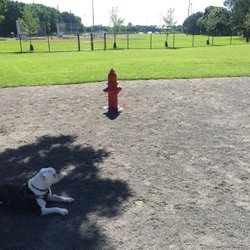 Cobbs Hill Dog Park - Plenty of space