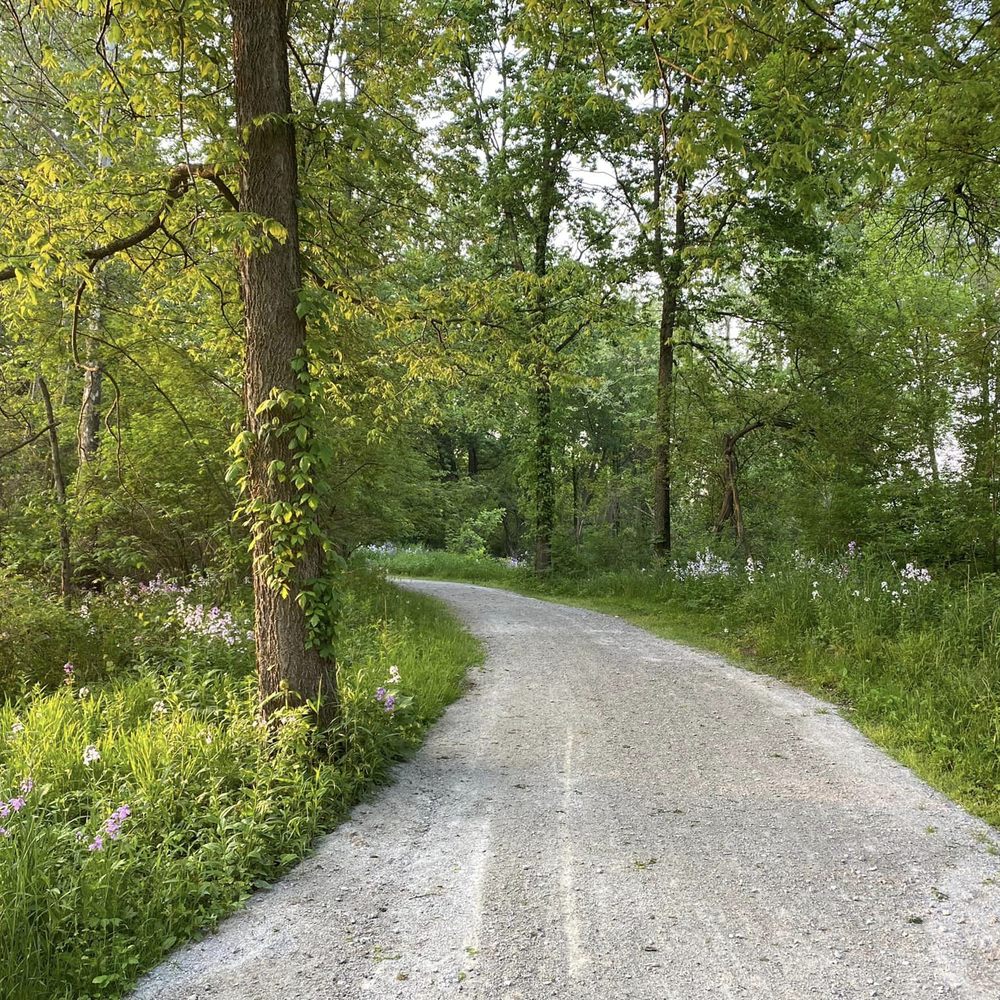 Abshire Park - A more gravel/crushed stone trail - still doable by wheelchair - Parks Near Me - Goshen, Indiana Abshire Park - A more gravel/crushed stone trail - still doable by wheelchair - Parks Near Me - Goshen, Indiana