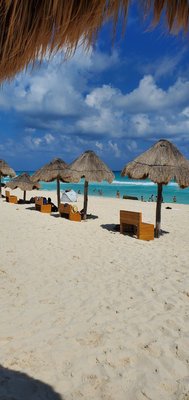 Dolphins Beach by null