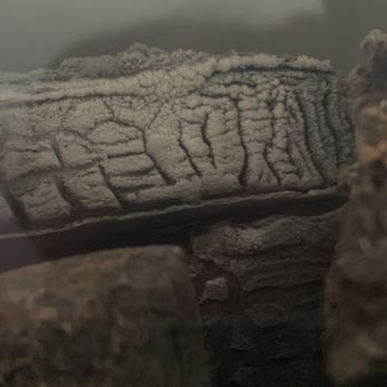 Southwest Fireplace - The glass that looked frosted but was just filthy. Logs were very dirty... - A fireplace log with visible cracks and textured surface, surrounded by other logs, in a fireplace setting. - Fireplace Services Near Me - Frankfort, Illinois
