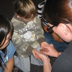 Coastside Children's Programs - Insect Discovery Lab visit