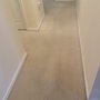 Lewis Carpet Cleaners