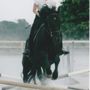 Photo of Ashford Farm Riding Day Camp