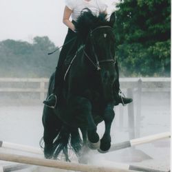 Ashford Farm Riding Day Camp - Jumping with Luke