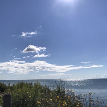 Ajax Waterfront Park - Dog Parks Near Me - Ajax, Ontario Ajax Waterfront Park - Dog Parks Near Me - Ajax, Ontario