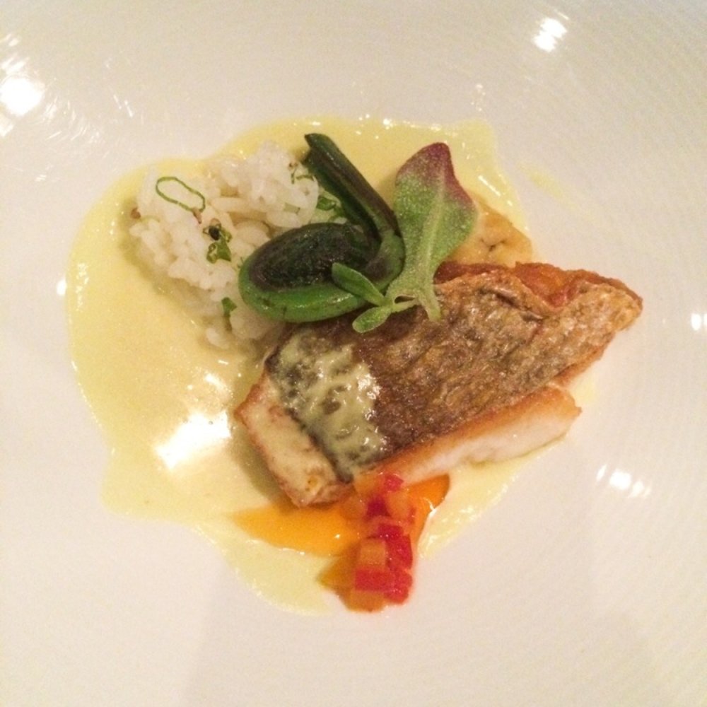 Morimoto Napa - Seared fish in a light curry sauce with royal fern (they forgot to put a mussel in mine though :( - Japanese Near Me - Napa, California