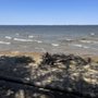 Photo of Cooper Lake State Park - South Sulphur Unit