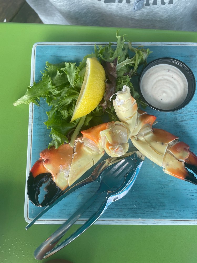 DUNEDIN FISH MARKET & OLDE BAY CAFE 455 Photos & 399 Reviews 51