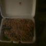 Photo of China Dragon