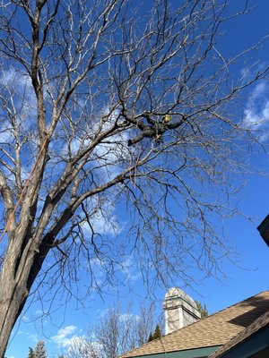 Living Branch on Yelp