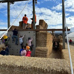 Bauman's Farm and Garden - Obstacle course