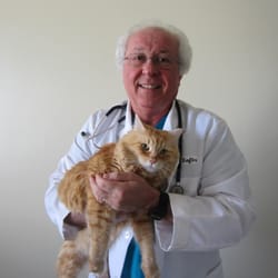 Vets to Pets, LLC - Hope I don't have to pick him up!