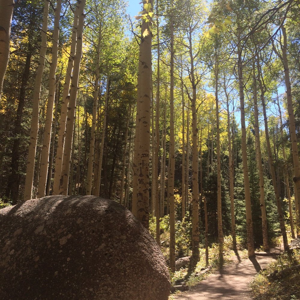 Devils Head Fire Tower - Hiking Near Me - Sedalia, Colorado