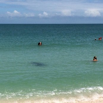 On The Beach Casey Key - Manatees and dolphins can be seen - Hotels Near Me - Nokomis, Florida On The Beach Casey Key - Manatees and dolphins can be seen - Hotels Near Me - Nokomis, Florida