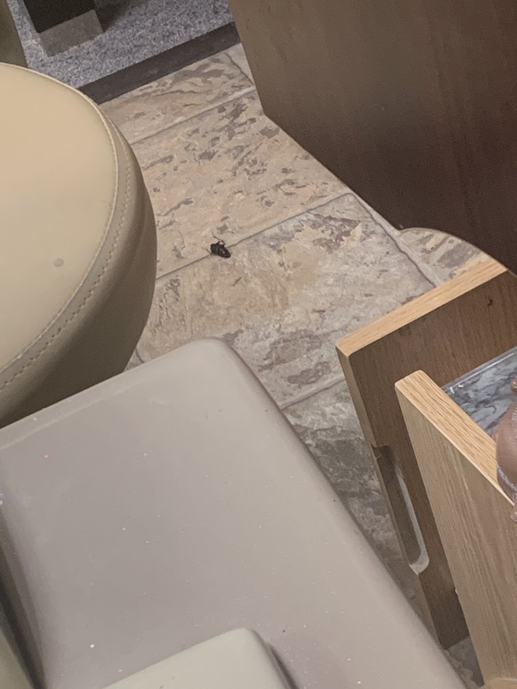 ROSE NAILS Nail Salons 22 W 56th St, Kearney, NE Phone Number Yelp