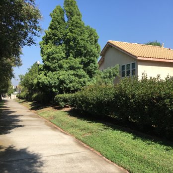 Real Tree Service - Tree Services Near Me