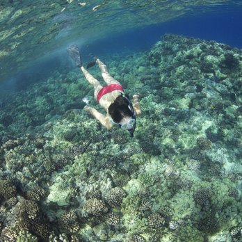 Snorkel Molokini - Snorkeling Near Me - Lahaina, Hawaii Snorkel Molokini - Snorkeling Near Me - Lahaina, Hawaii