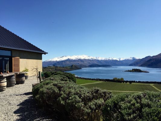 Rippon by null