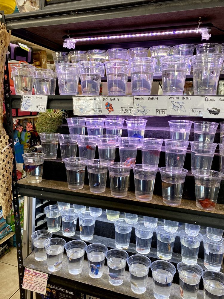 ANIMAL ARK PET STORES 38 Photos & 35 Reviews 33 W Center St, Orem