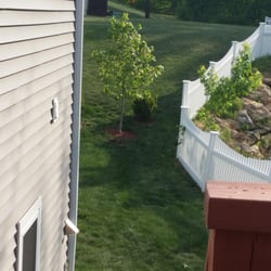 Green Garden Lawn Service & Landscaping - Red Sunset Maple planted by me but purchased from Green Gardens.