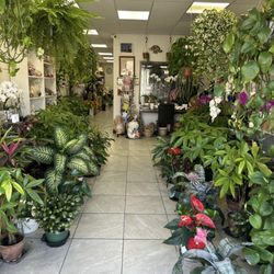 Beautiful display of flowers and good vibes