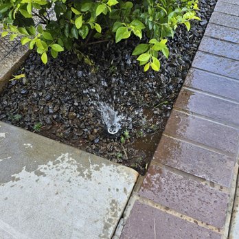 Hawaii Sprinkler and Lighting - We never received resolution regarding the challenge with the sprinklers popping up when the zone is turned on. - Landscaping Near Me - Honolulu, Hawaii Hawaii Sprinkler and Lighting - We never received resolution regarding the challenge with the sprinklers popping up when the zone is turned on. - Landscaping Near Me - Honolulu, Hawaii