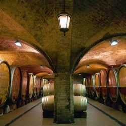 Weinmanufaktur Untertürkheim - Holzfasskeller mit imposantem Kreuzgewölbe.