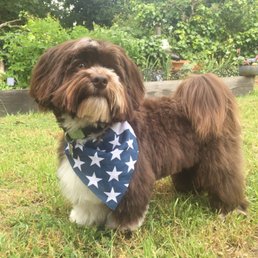 Hamilton even got prepped for Memorial Day. Thanks Nikki. Hamilton even got prepped for Memorial Day. Thanks Nikki.