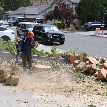 Eagle Tree Service - Tree Services Near Me Eagle Tree Service - Tree Services Near Me