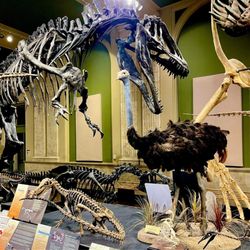 Kenosha Dinosaur Discovery Museum