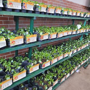 The Home Depot - Decisions! Decisions! - Hardware Stores Near Me - Auburn, California The Home Depot - Decisions! Decisions! - Hardware Stores Near Me - Auburn, California
