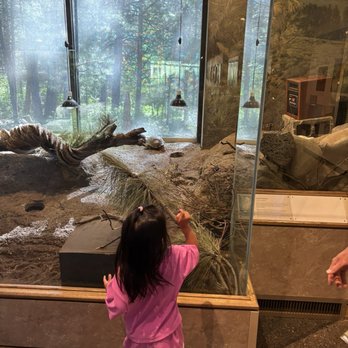 High Desert Museum - Museums Near Me - Bend, Oregon