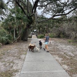 Woodmere Park - Trailers