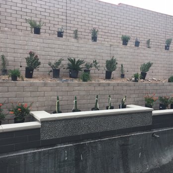 Laguna Pool & Spa - Plants - Landscaping Near Me - Las Vegas, Nevada