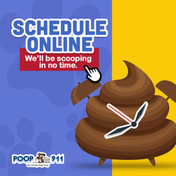 POOP 911